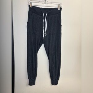 Aerie Dark Gray Jogger Sweatpants